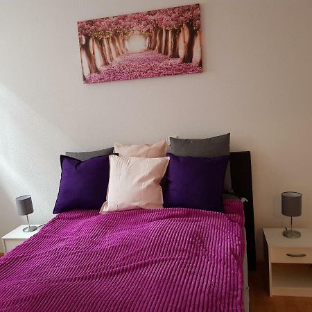 Apartament Wiesenblume Schönau im Schwarzwald Zewnętrze zdjęcie