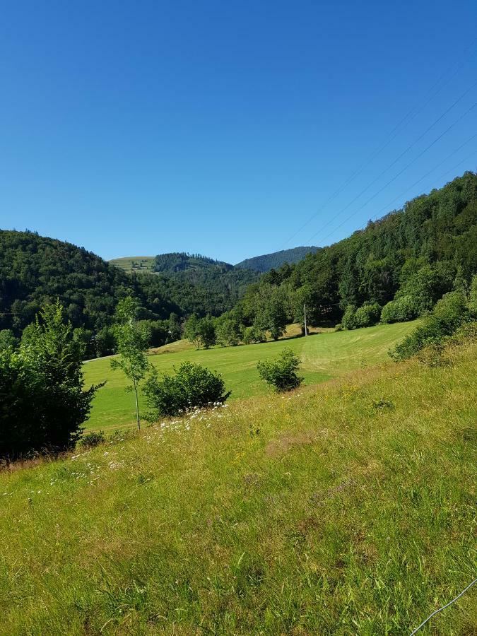 Apartament Wiesenblume Schönau im Schwarzwald Zewnętrze zdjęcie