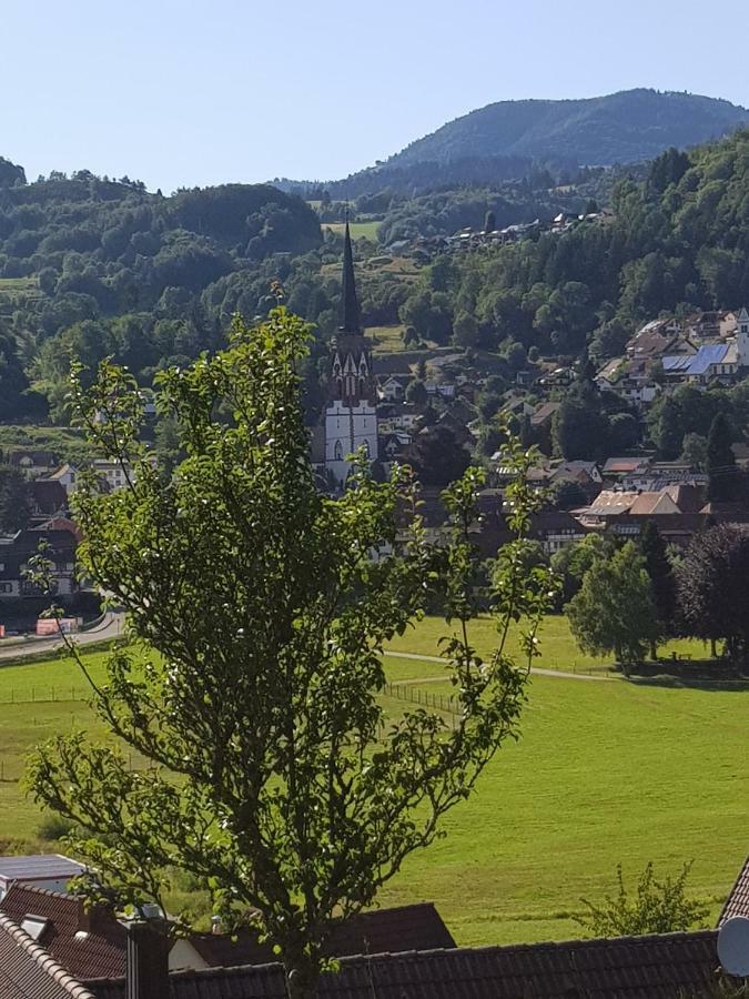 Apartament Wiesenblume Schönau im Schwarzwald Zewnętrze zdjęcie